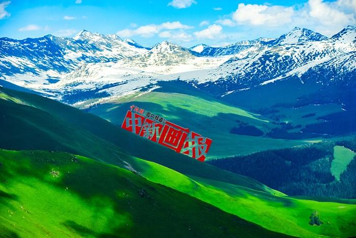 將夏天的“綠” 裝進(jìn)屏幕里，一組護(hù)眼壁紙請查收！
