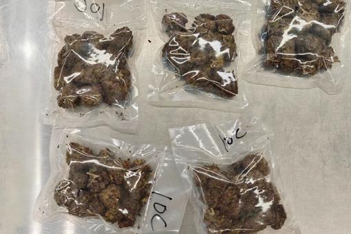 皇崗海關(guān)查獲大麻49.73克