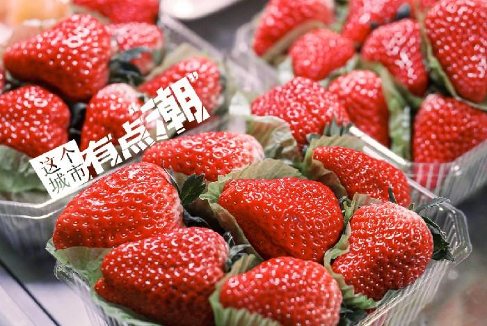 丹東：這一口鮮甜，開啟冬日“莓”好時光