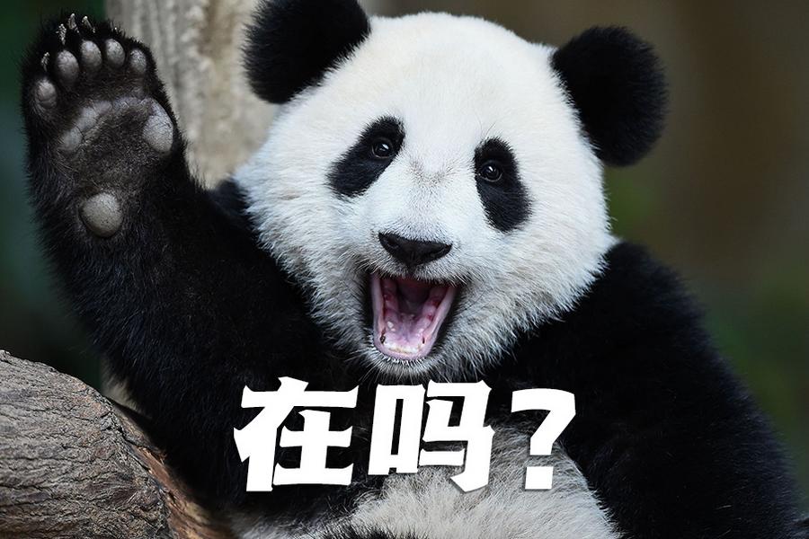 【世界微笑日特刊】嘿嘿，今天你笑了嗎？